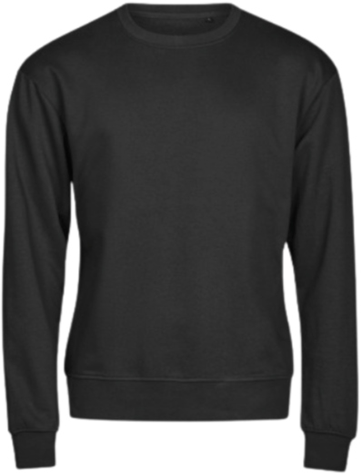 Sweatshirt - Svenska Cupen